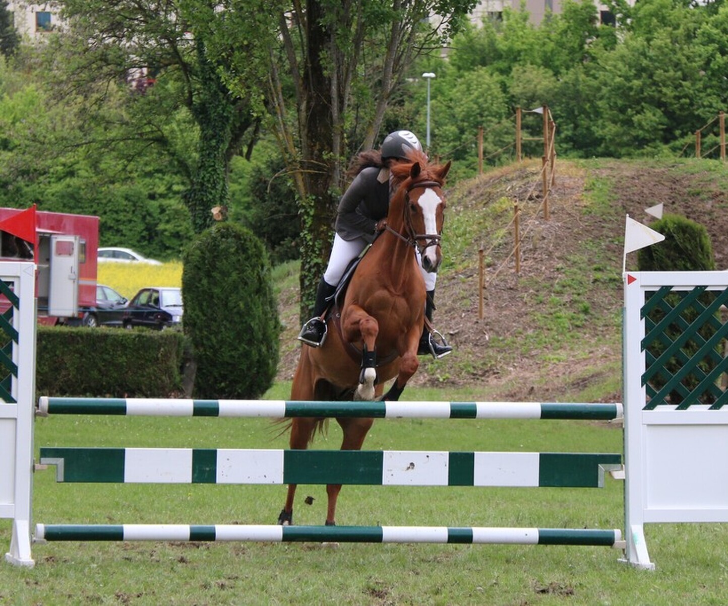 Description de l'image