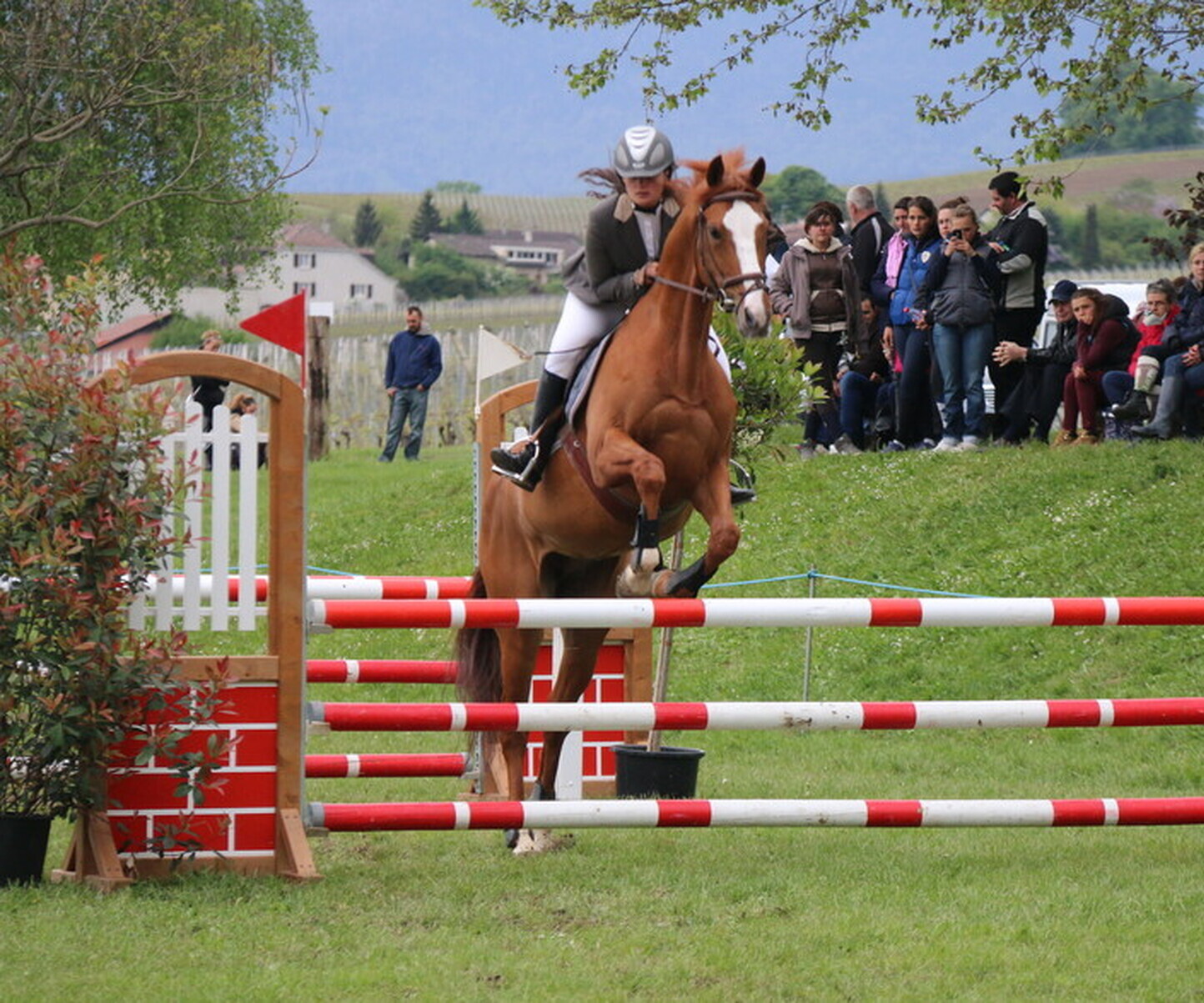 Description de l'image