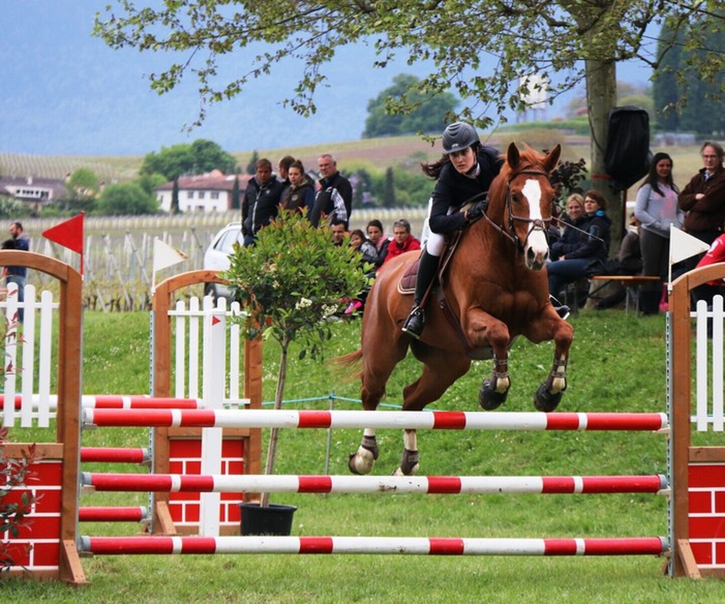 Description de l'image