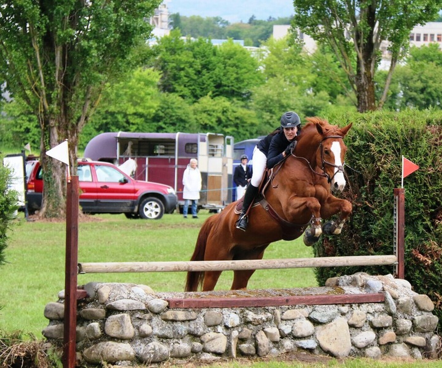 Description de l'image