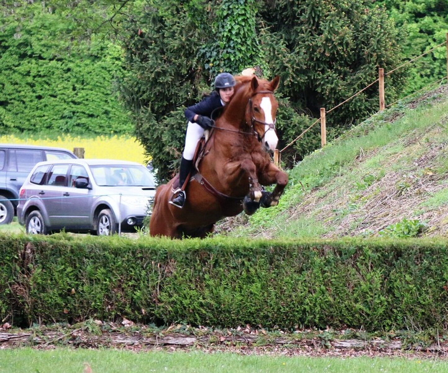 Description de l'image