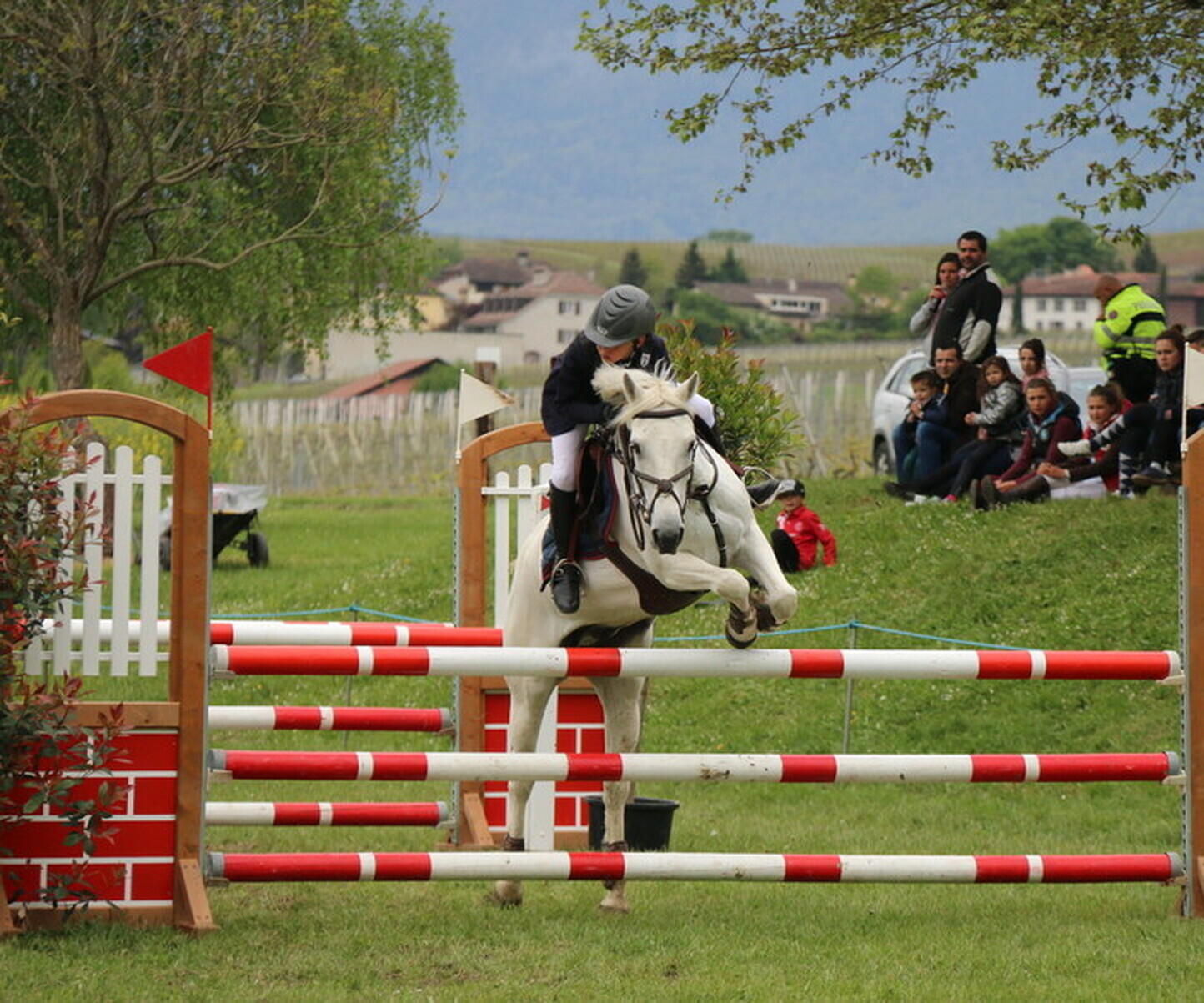 Description de l'image