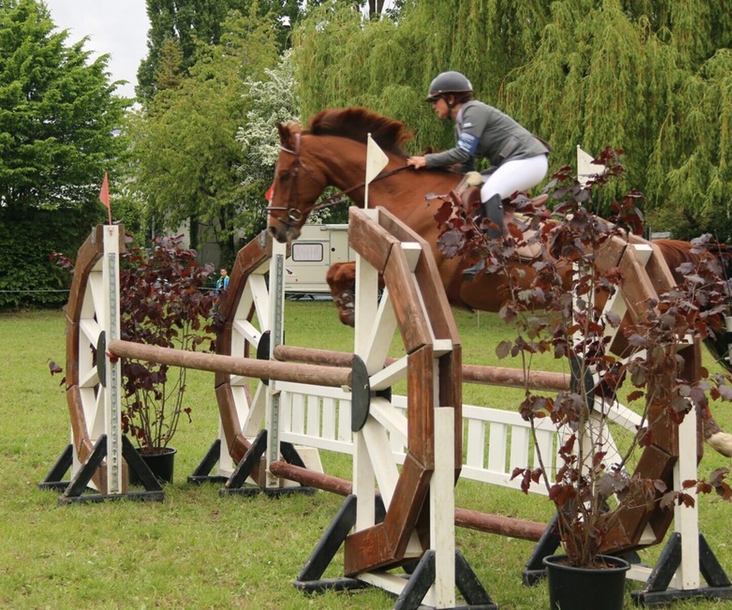 Description de l'image