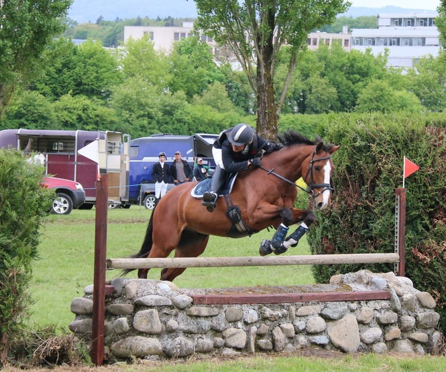 Description de l'image