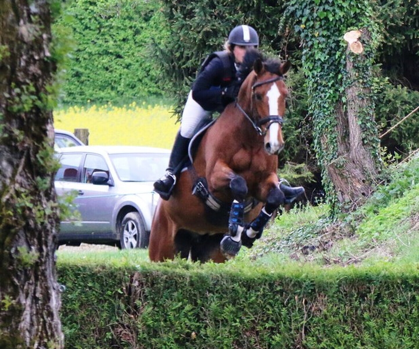 Description de l'image