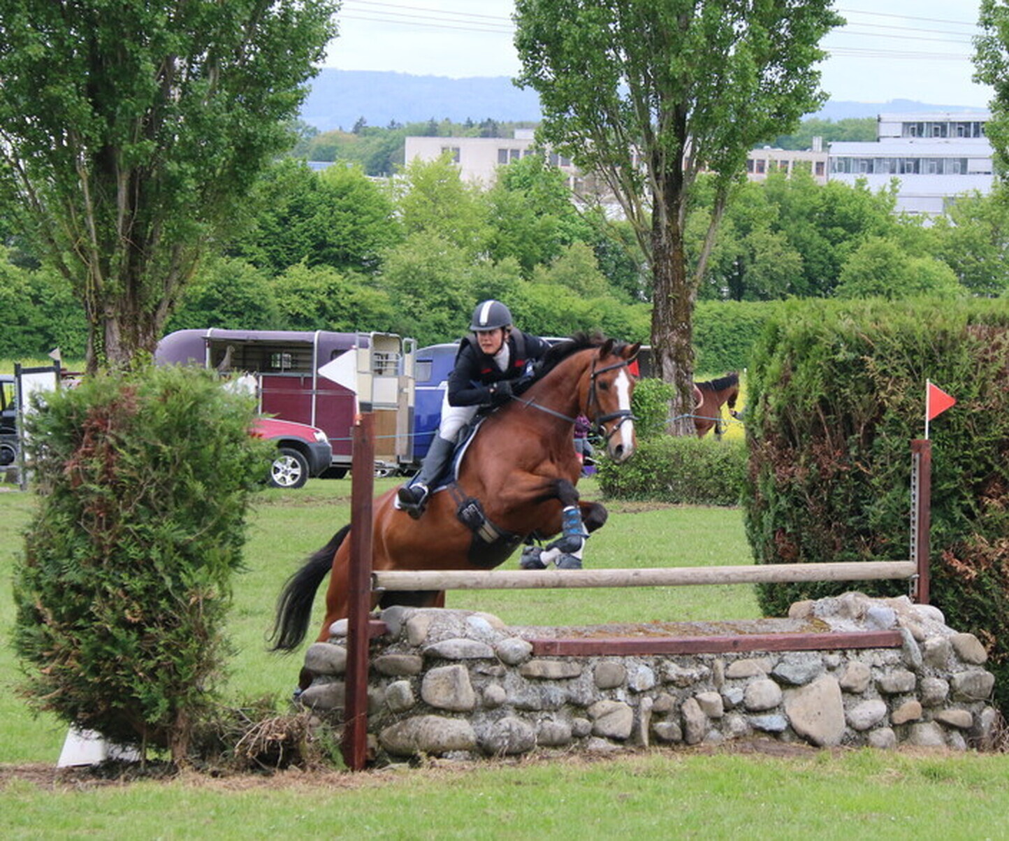 Description de l'image