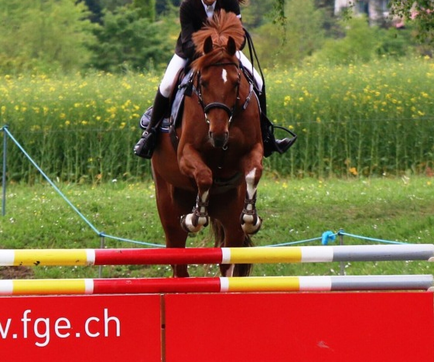 Description de l'image