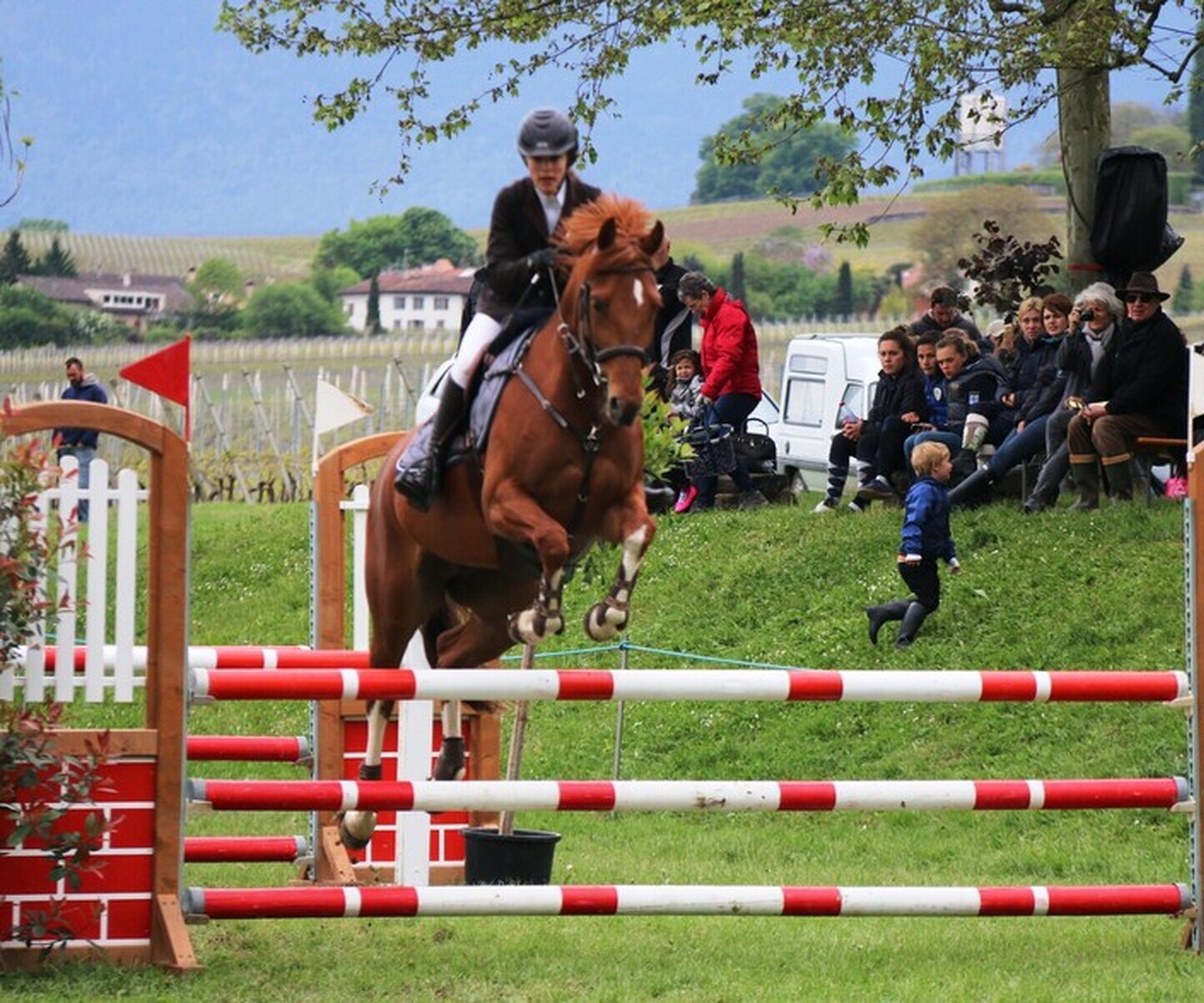 Description de l'image