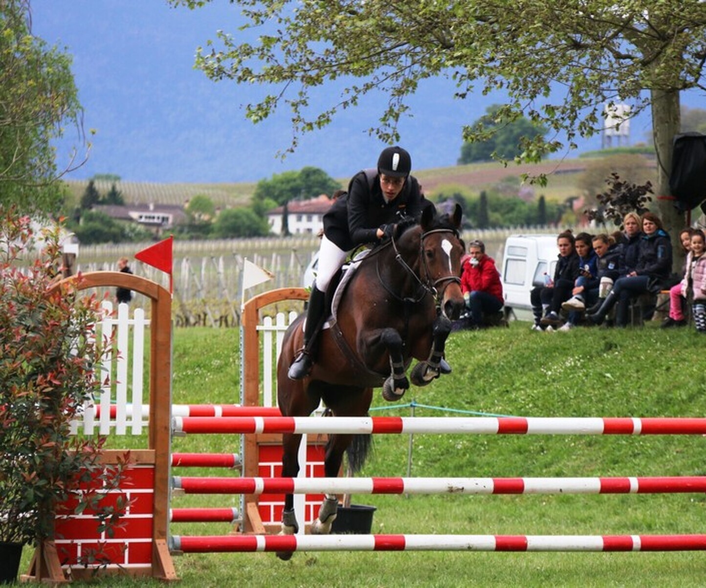 Description de l'image