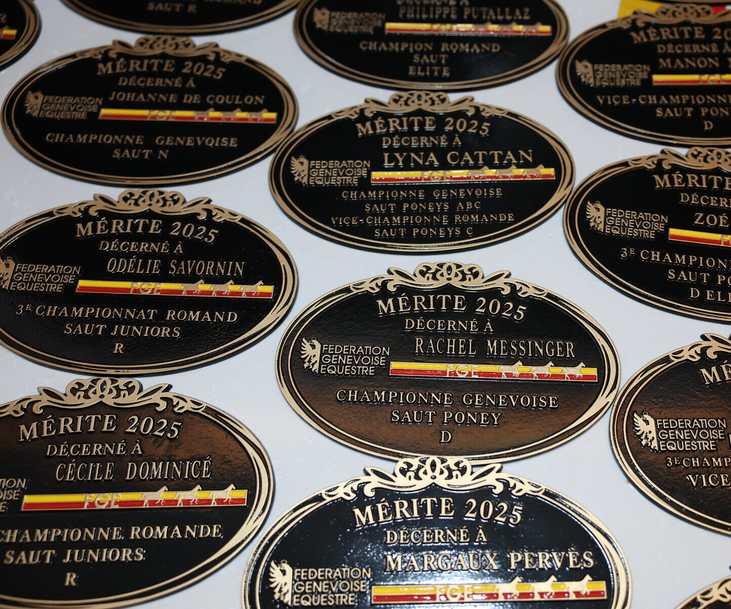 Description de l'image