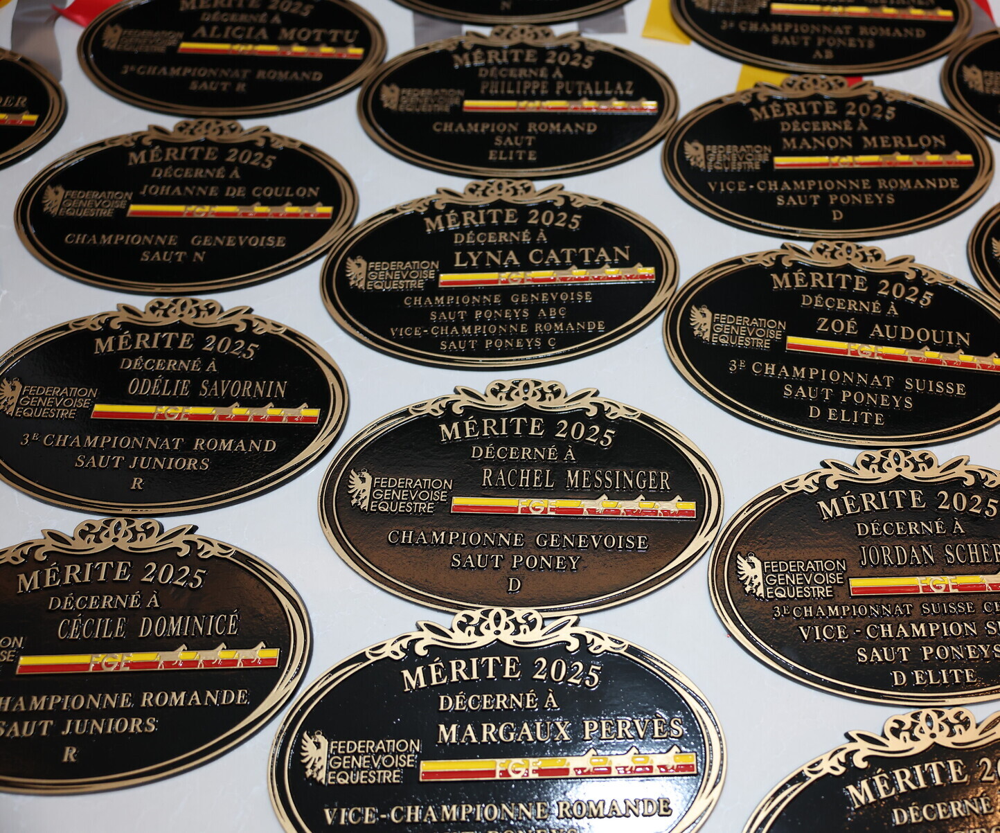 Description de l'image