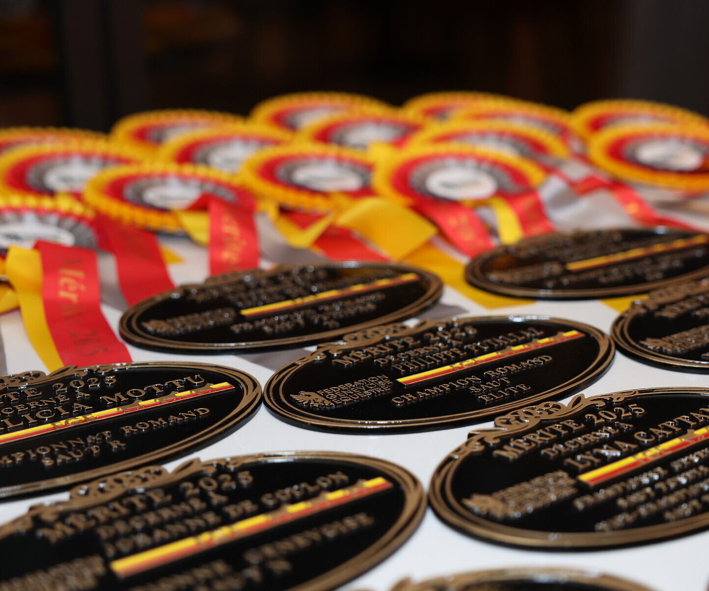 Description de l'image