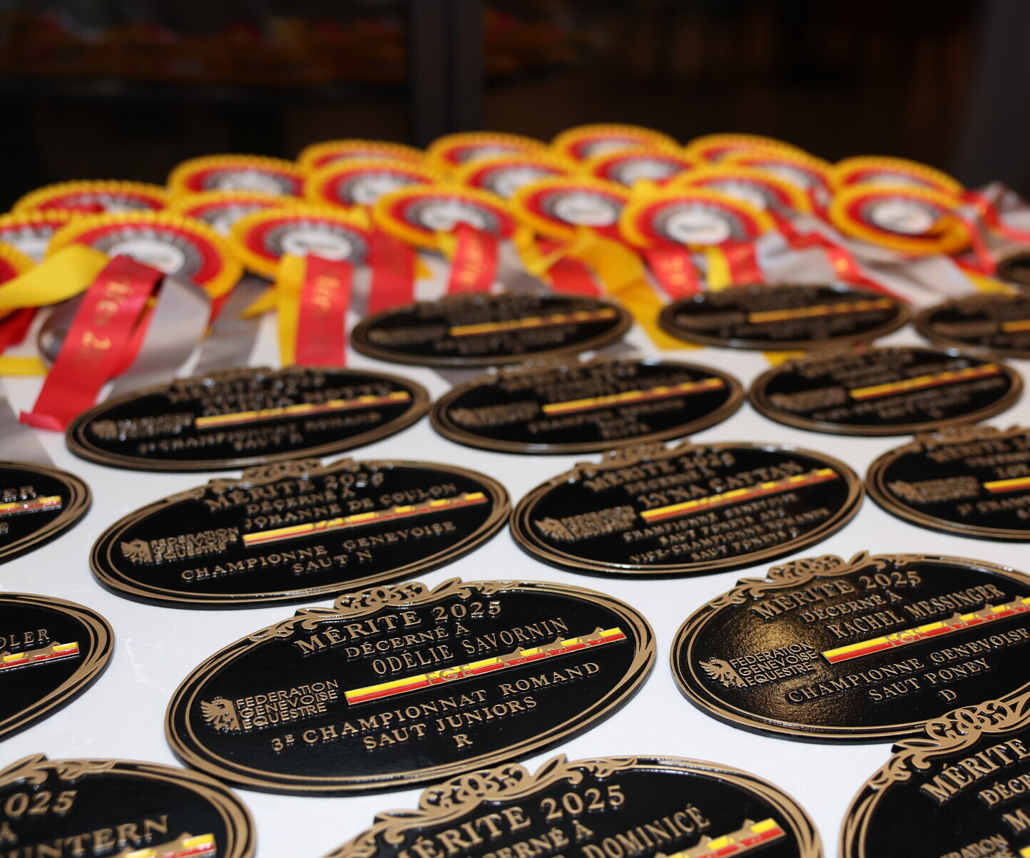 Description de l'image