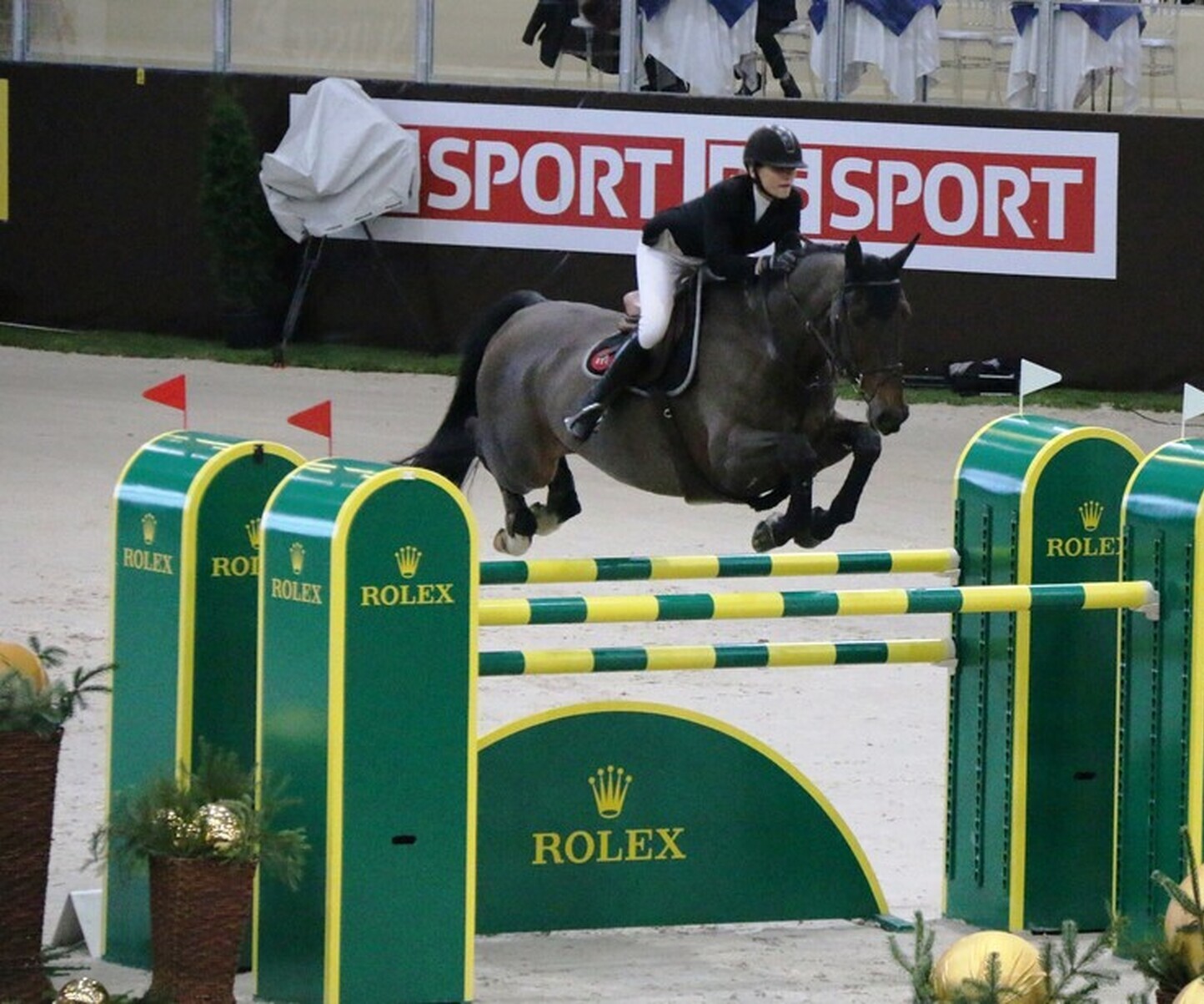 Description de l'image