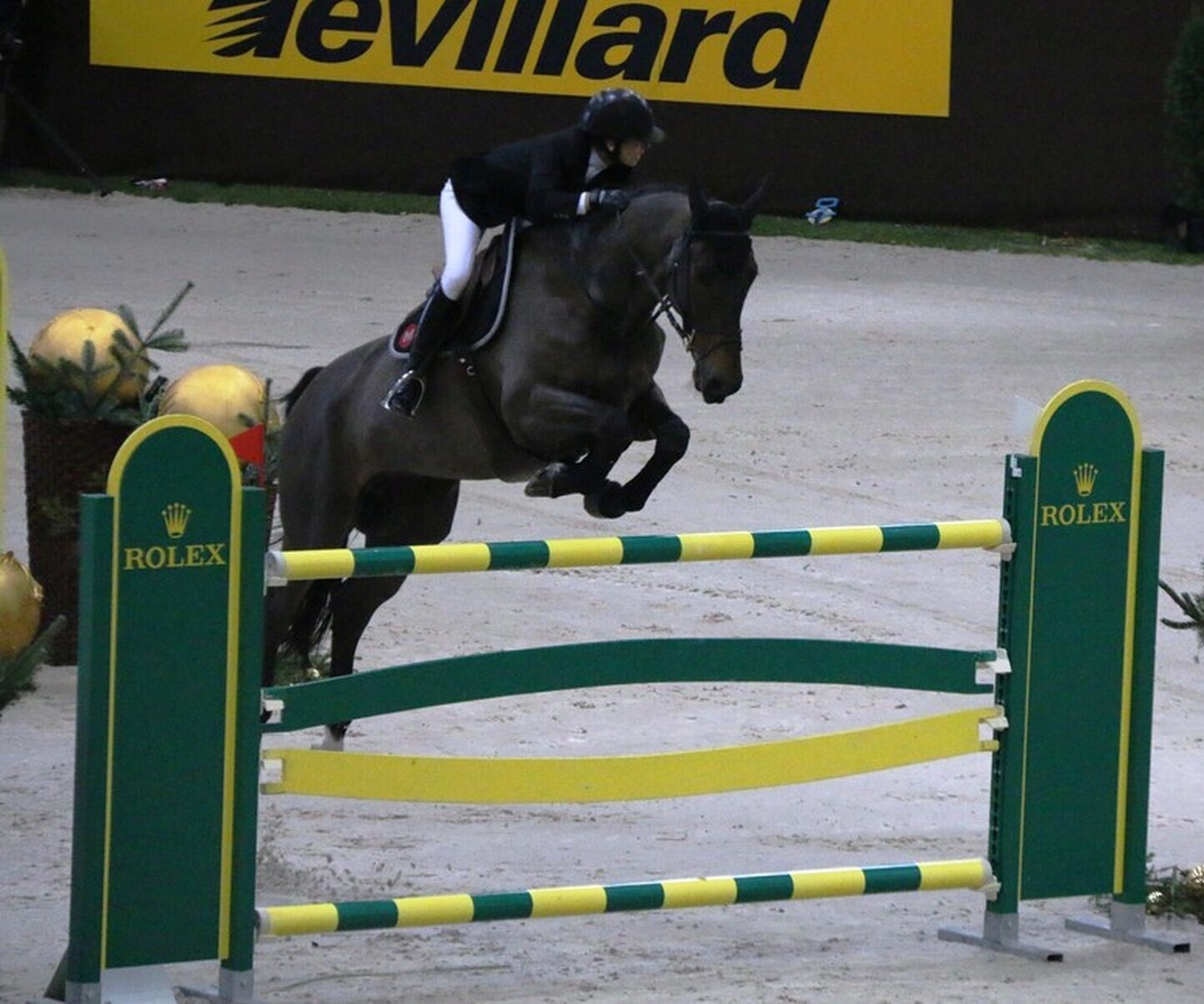 Description de l'image