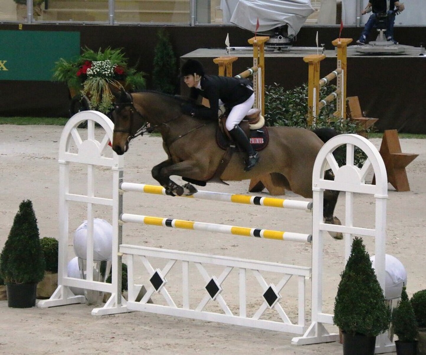 Description de l'image