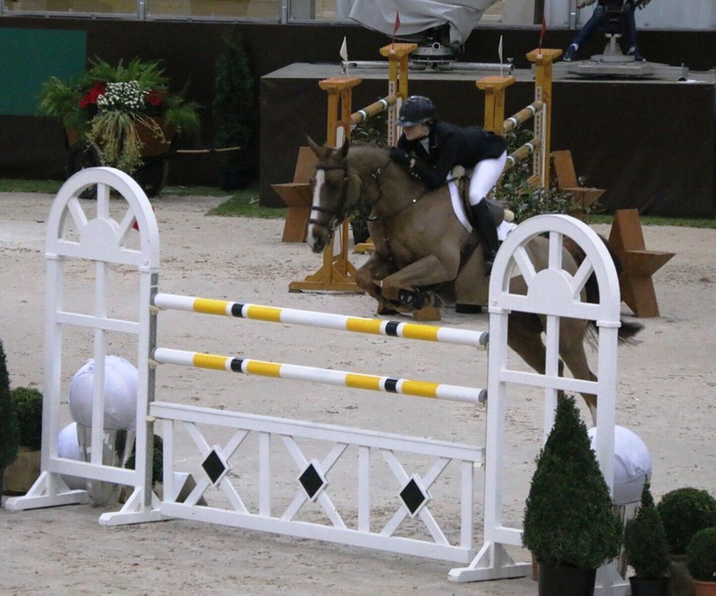 Description de l'image