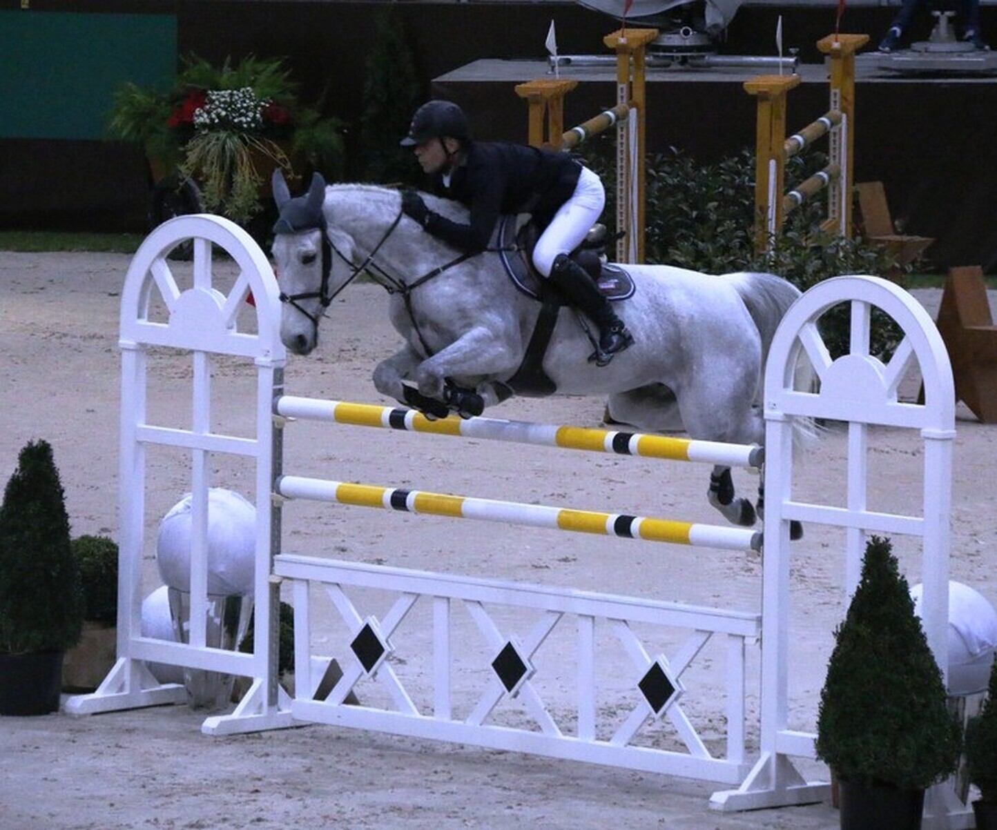 Description de l'image