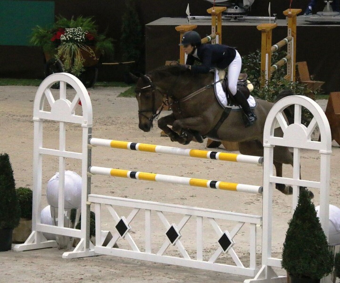 Description de l'image