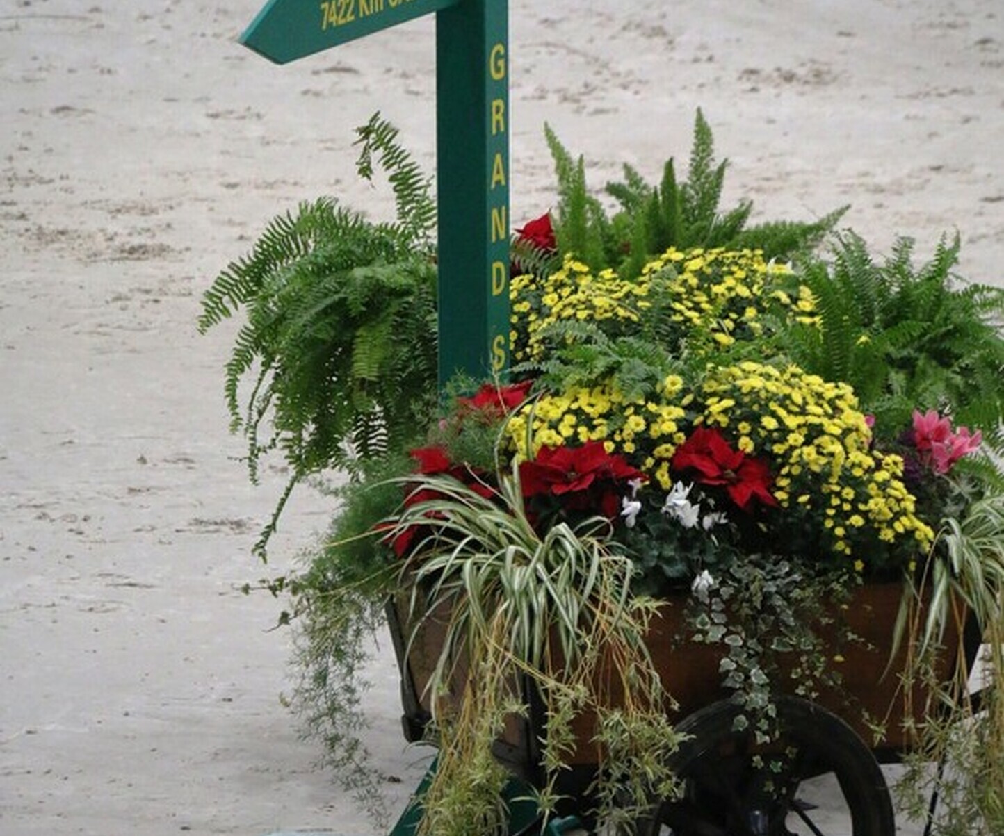 Description de l'image