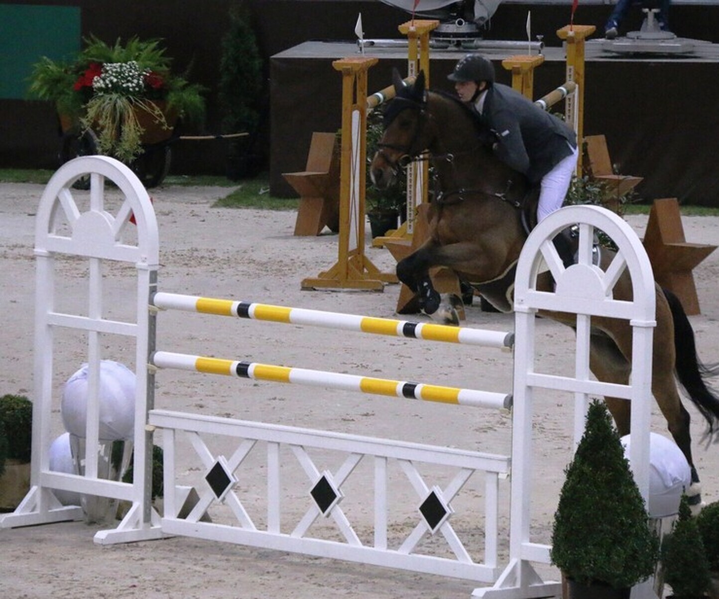 Description de l'image