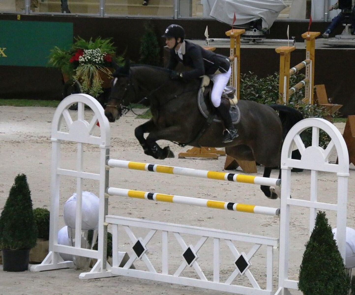 Description de l'image