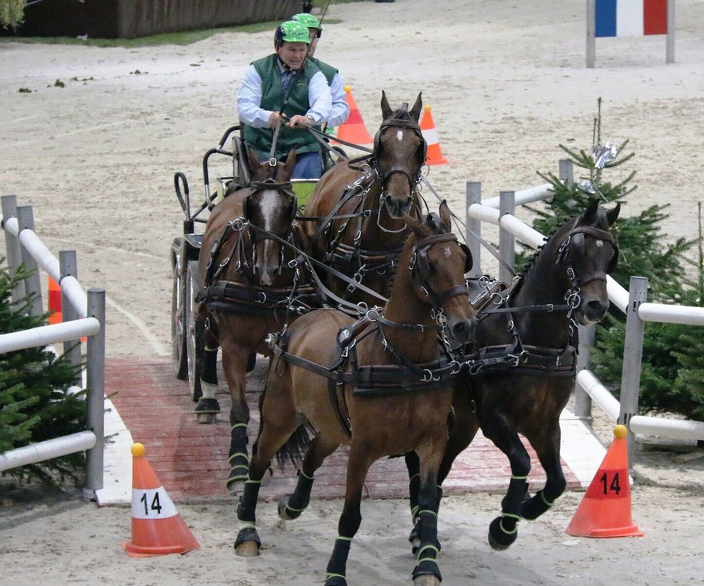 Description de l'image