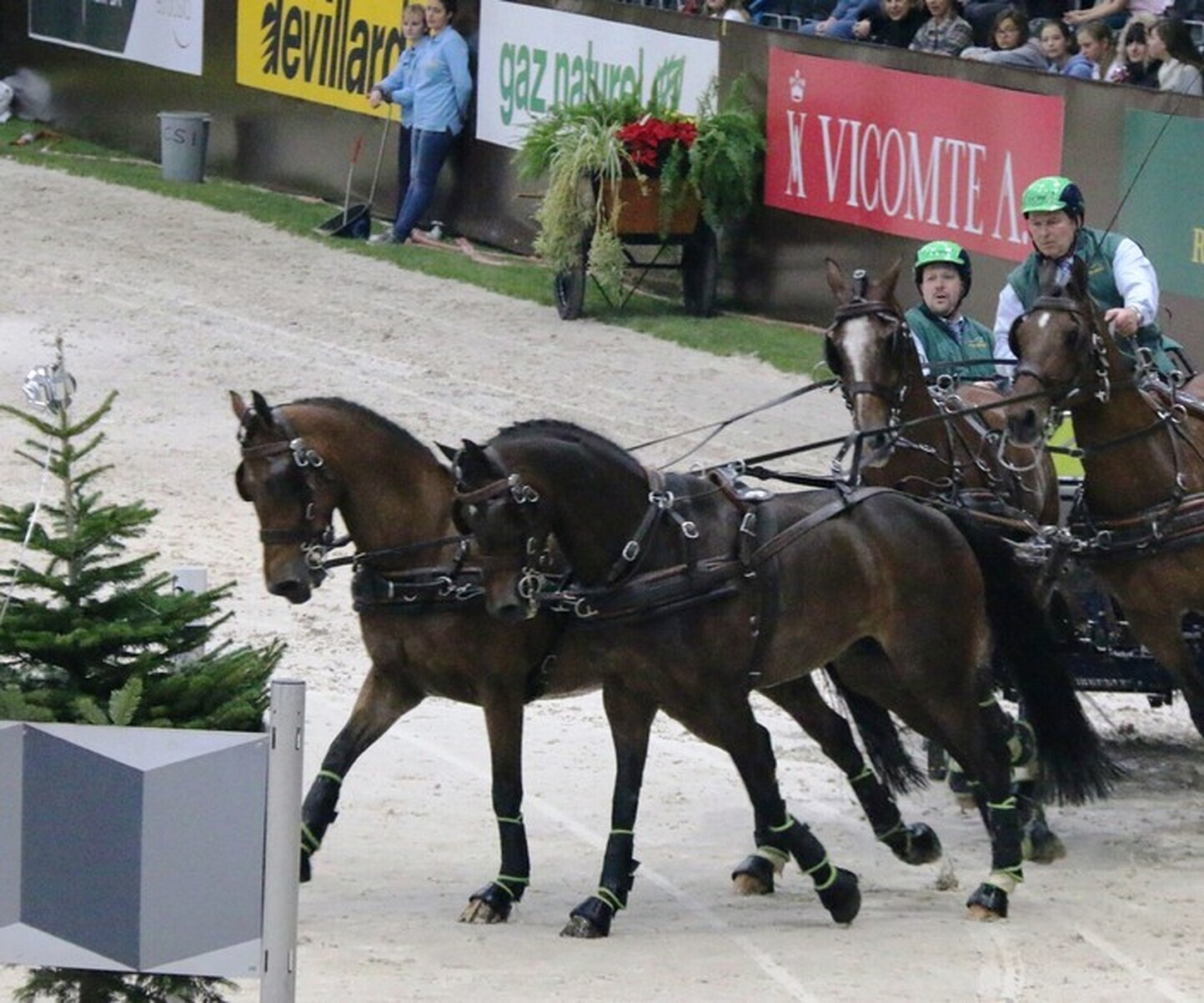 Description de l'image