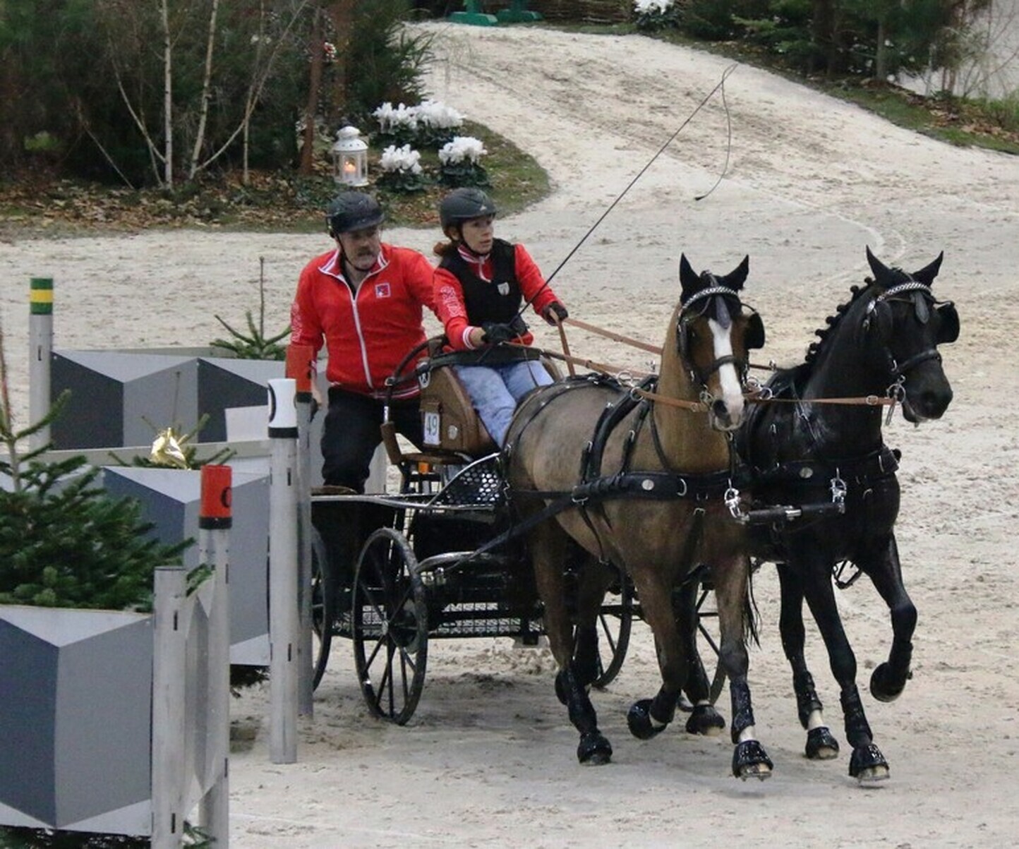 Description de l'image