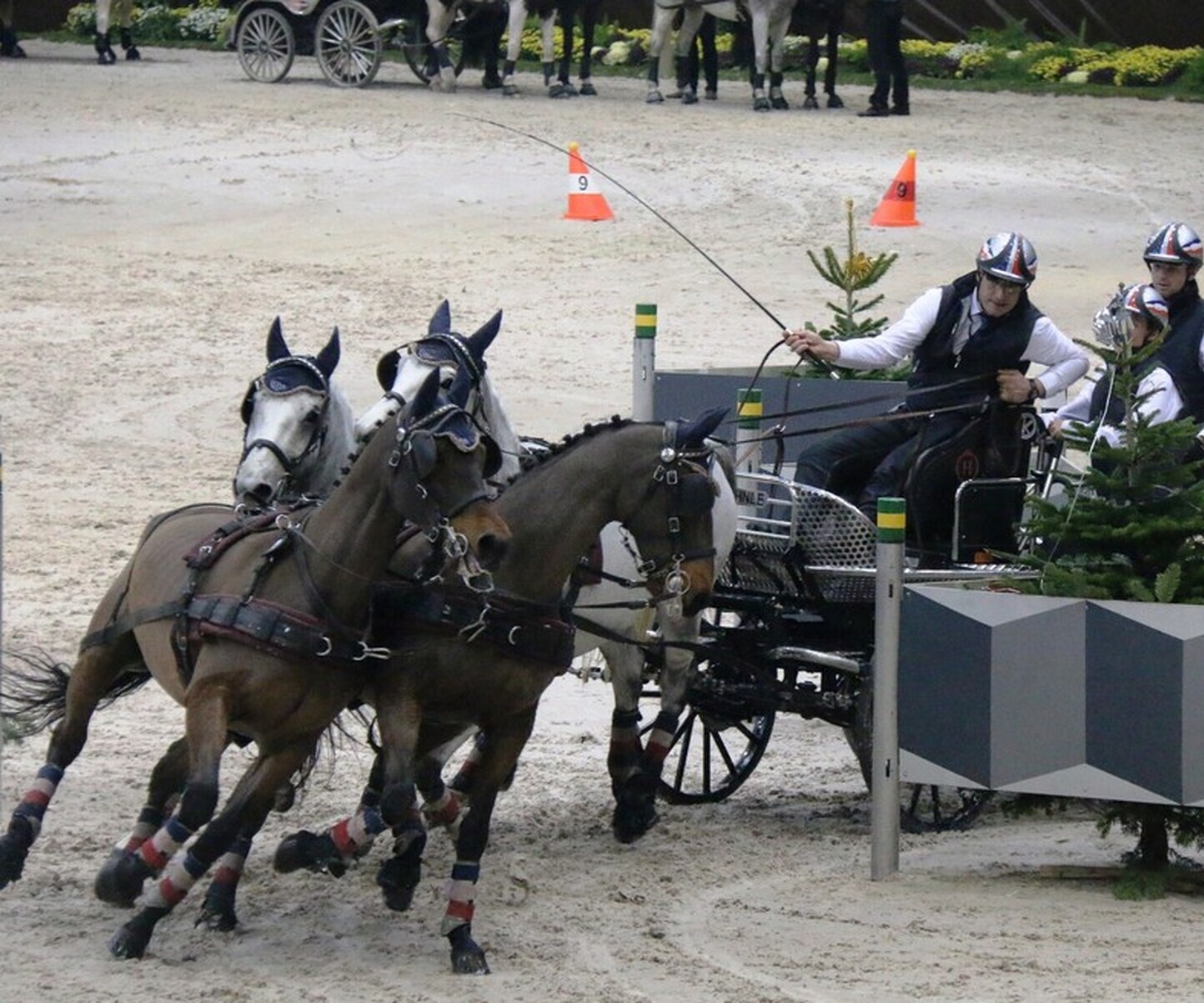 Description de l'image