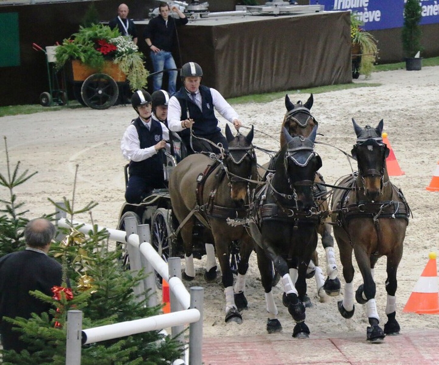 Description de l'image