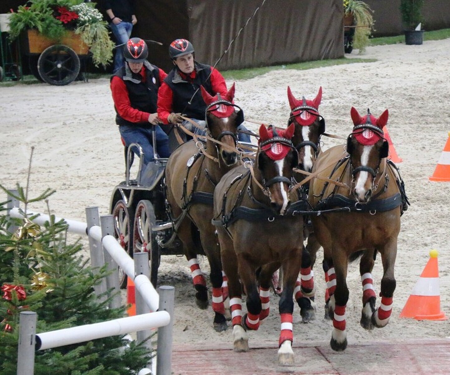 Description de l'image