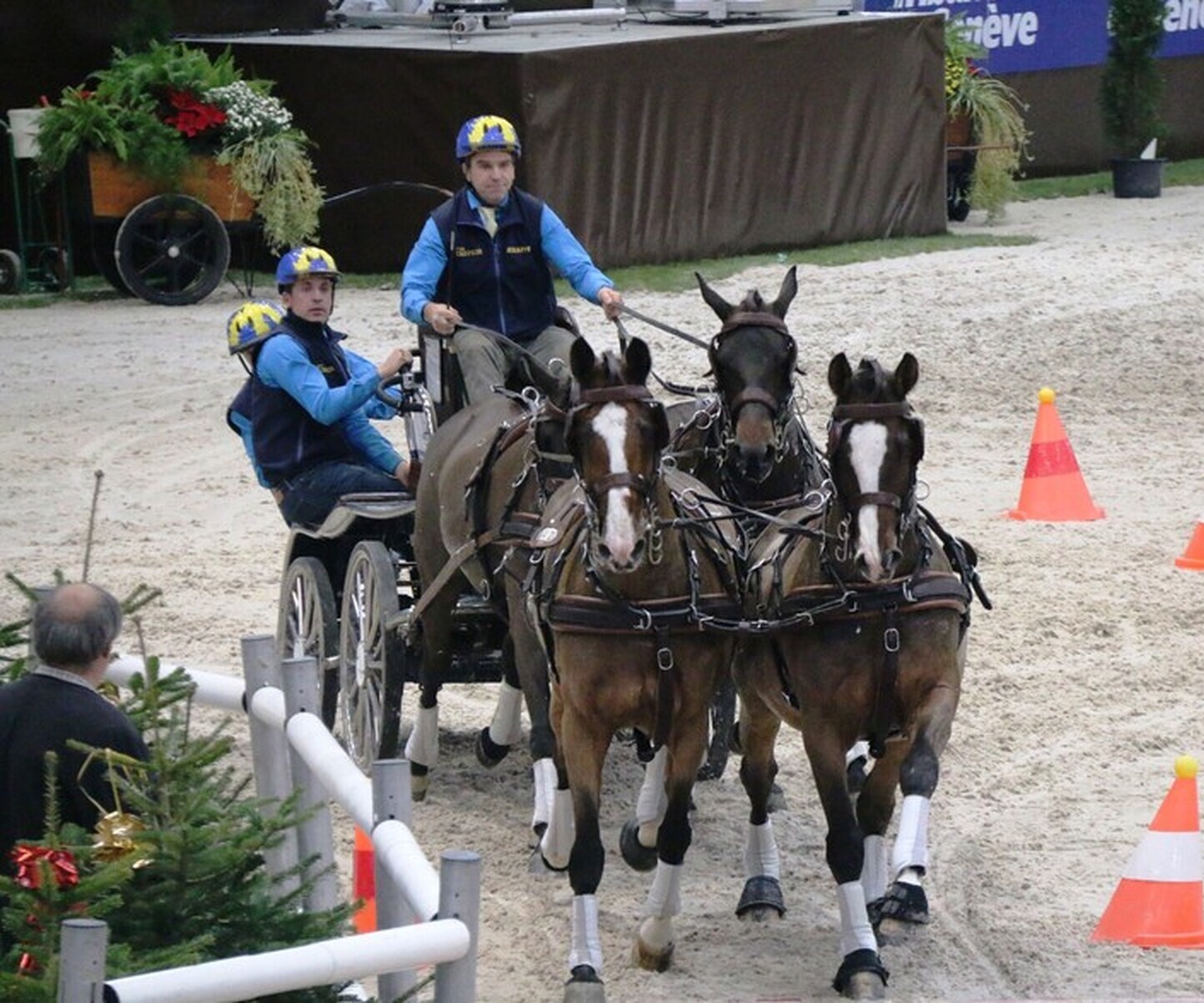 Description de l'image