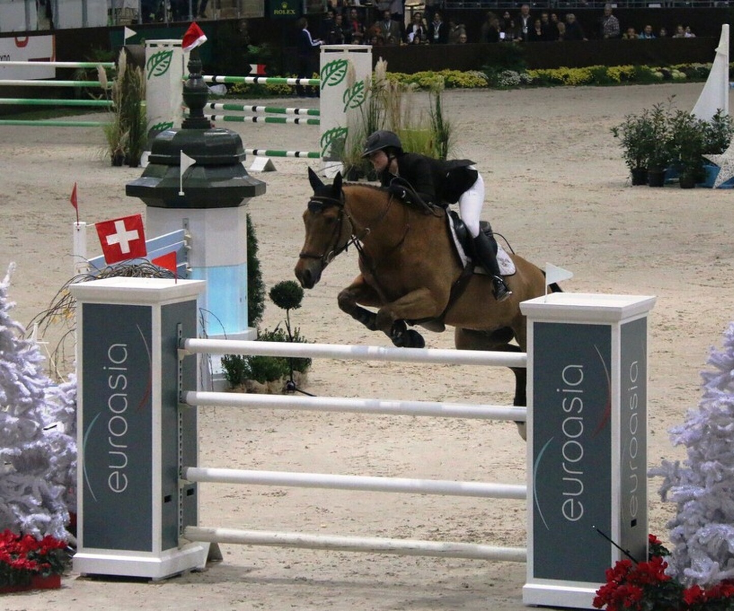 Description de l'image