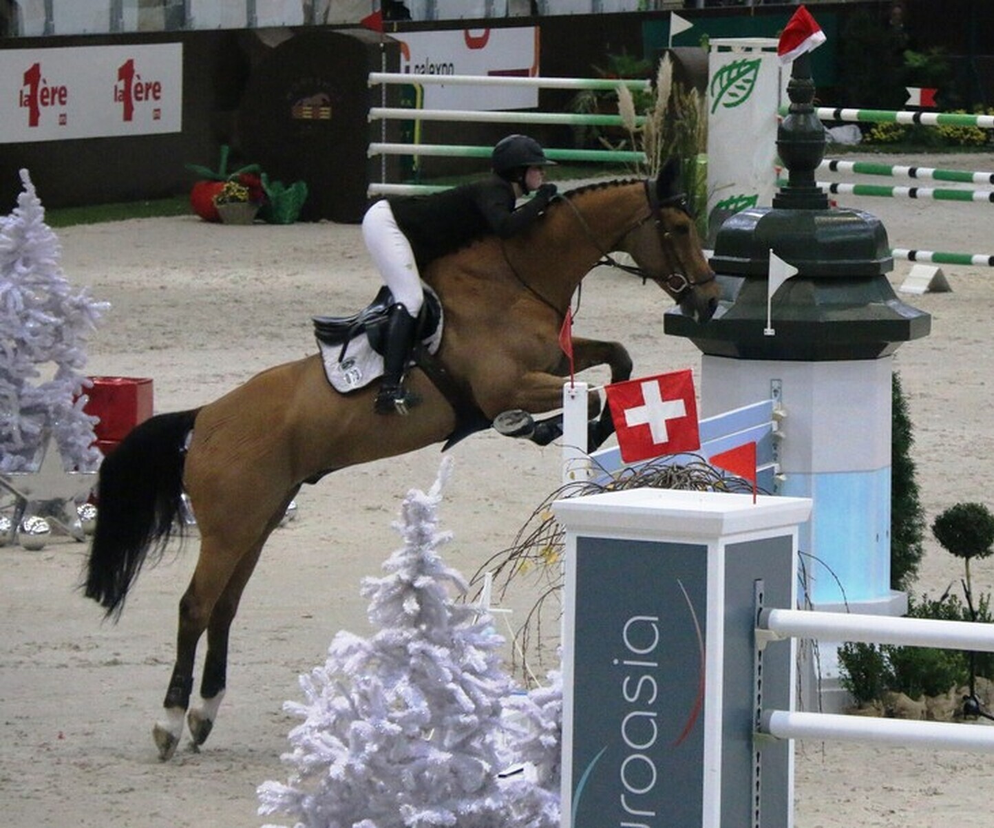 Description de l'image