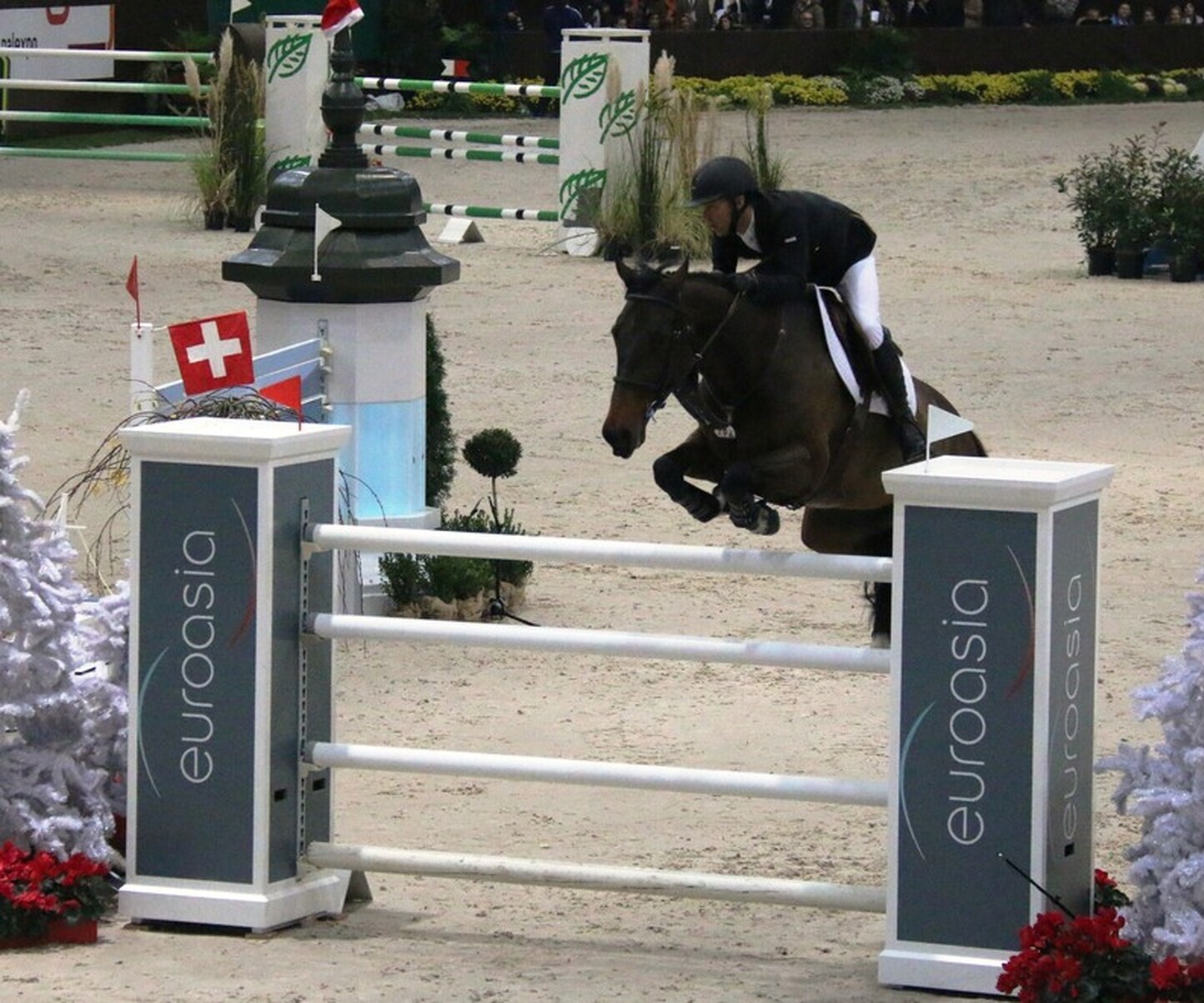 Description de l'image