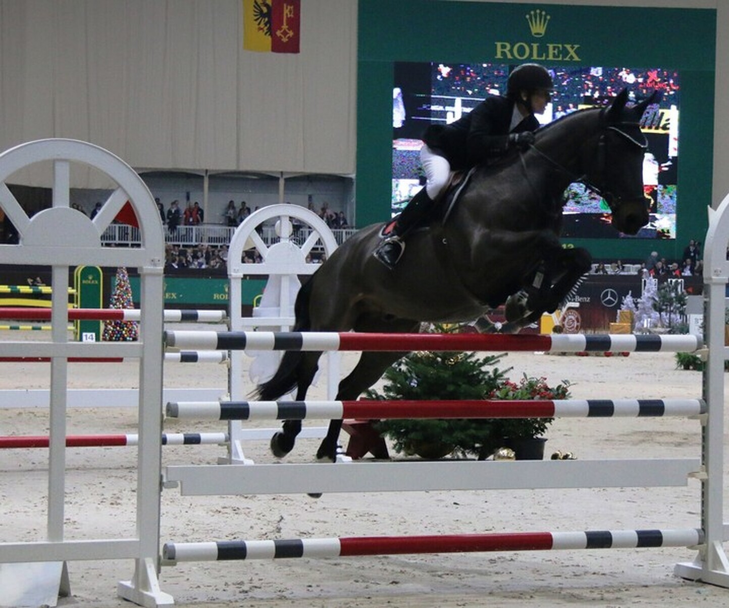 Description de l'image