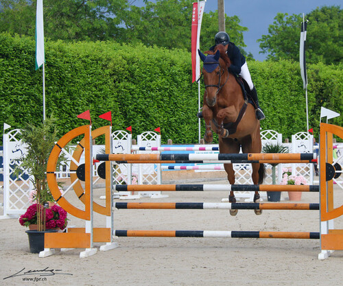 Finale Genevoise N - Crête 2024