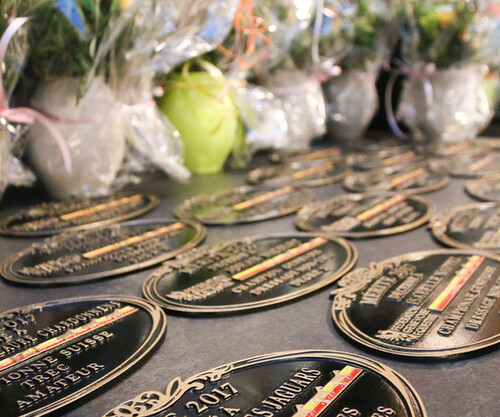 Soirée des Mérites 2017