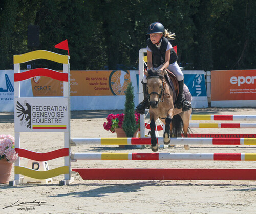 Finales Poneys La Gambade 2024