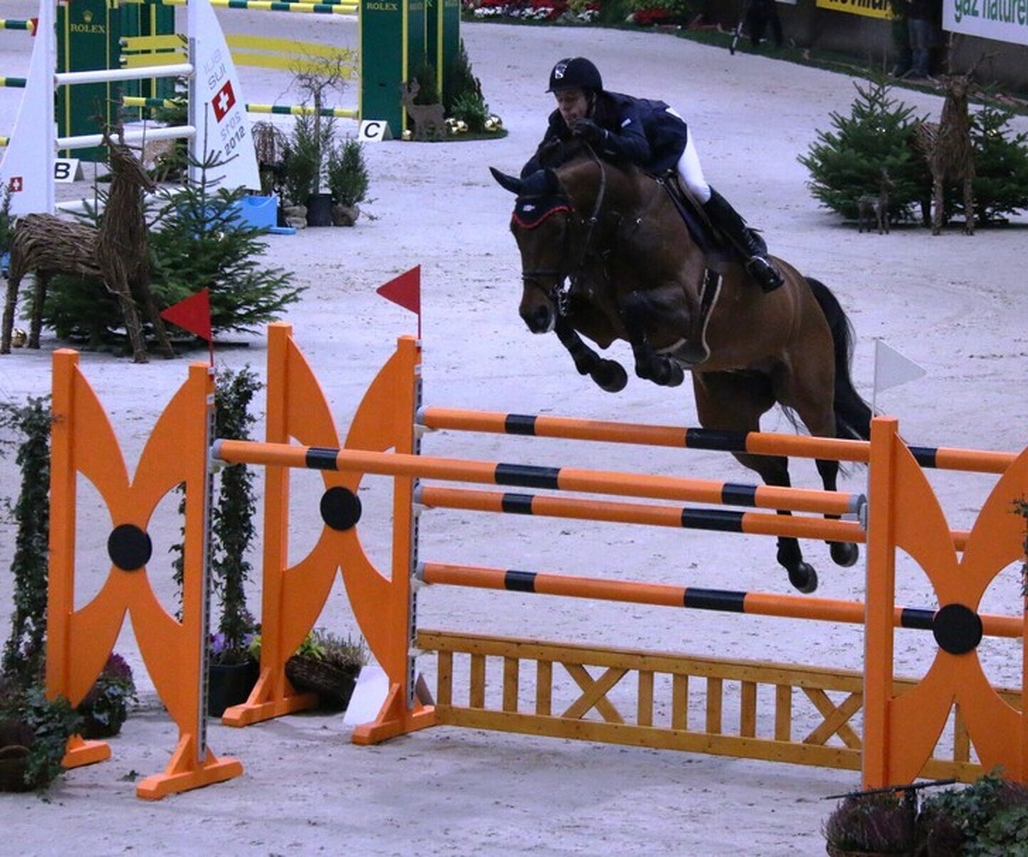 Description de l'image