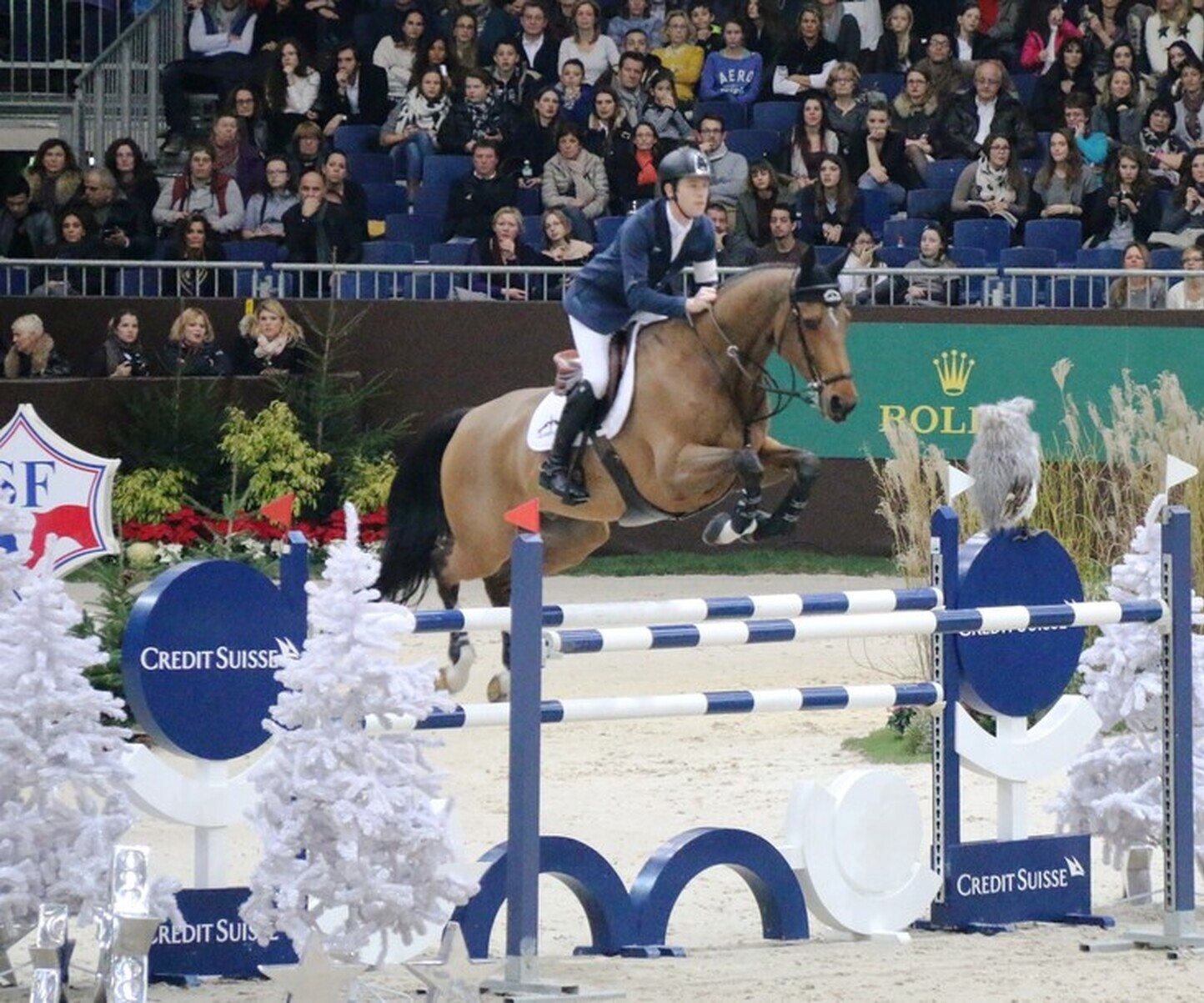 Description de l'image