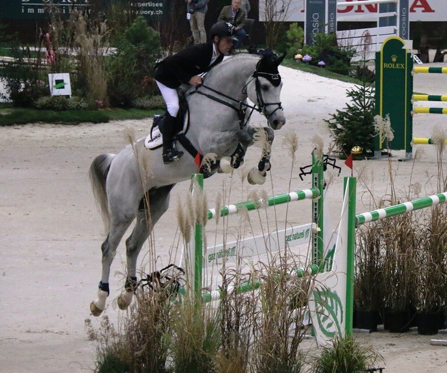 Description de l'image