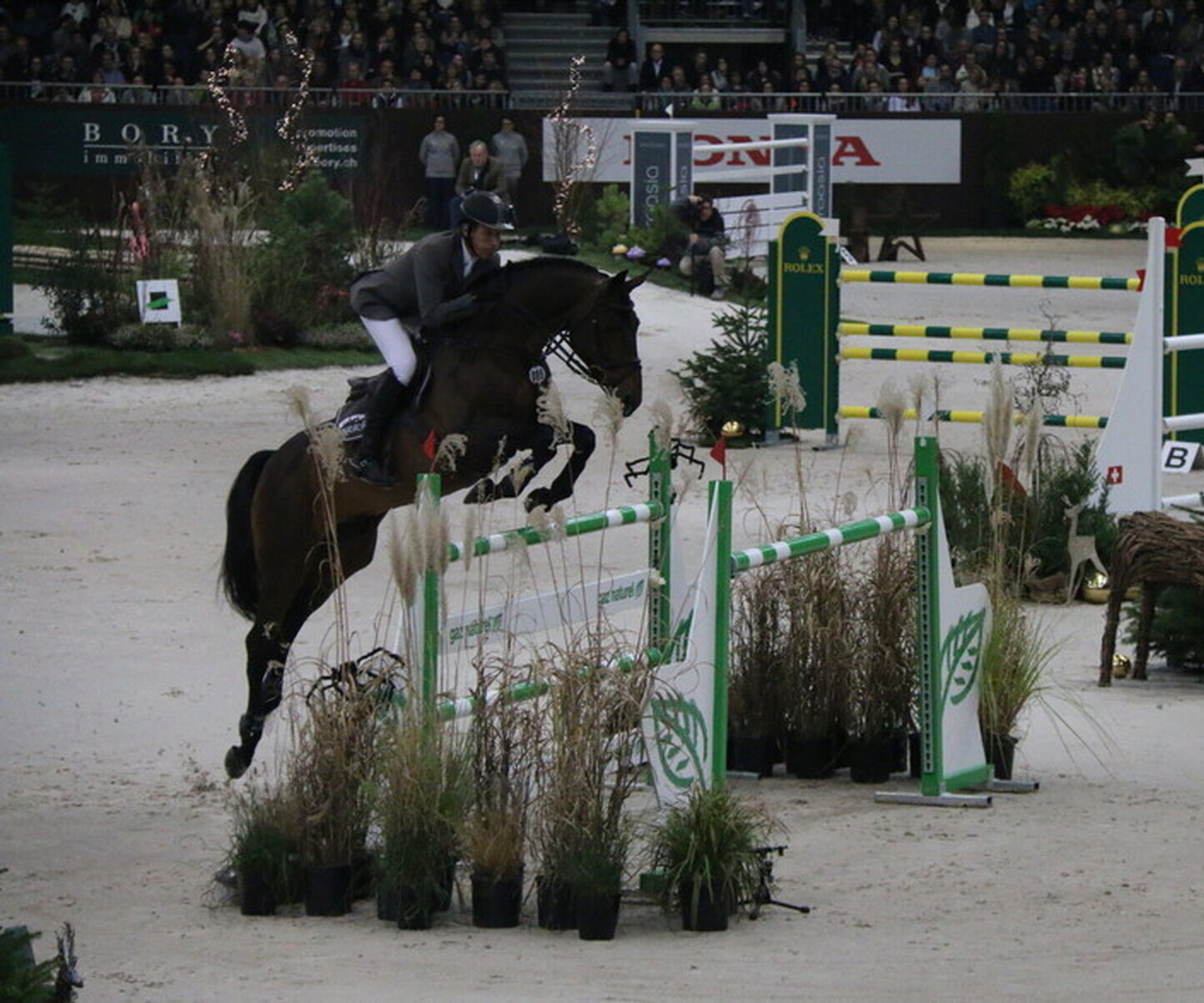 Description de l'image