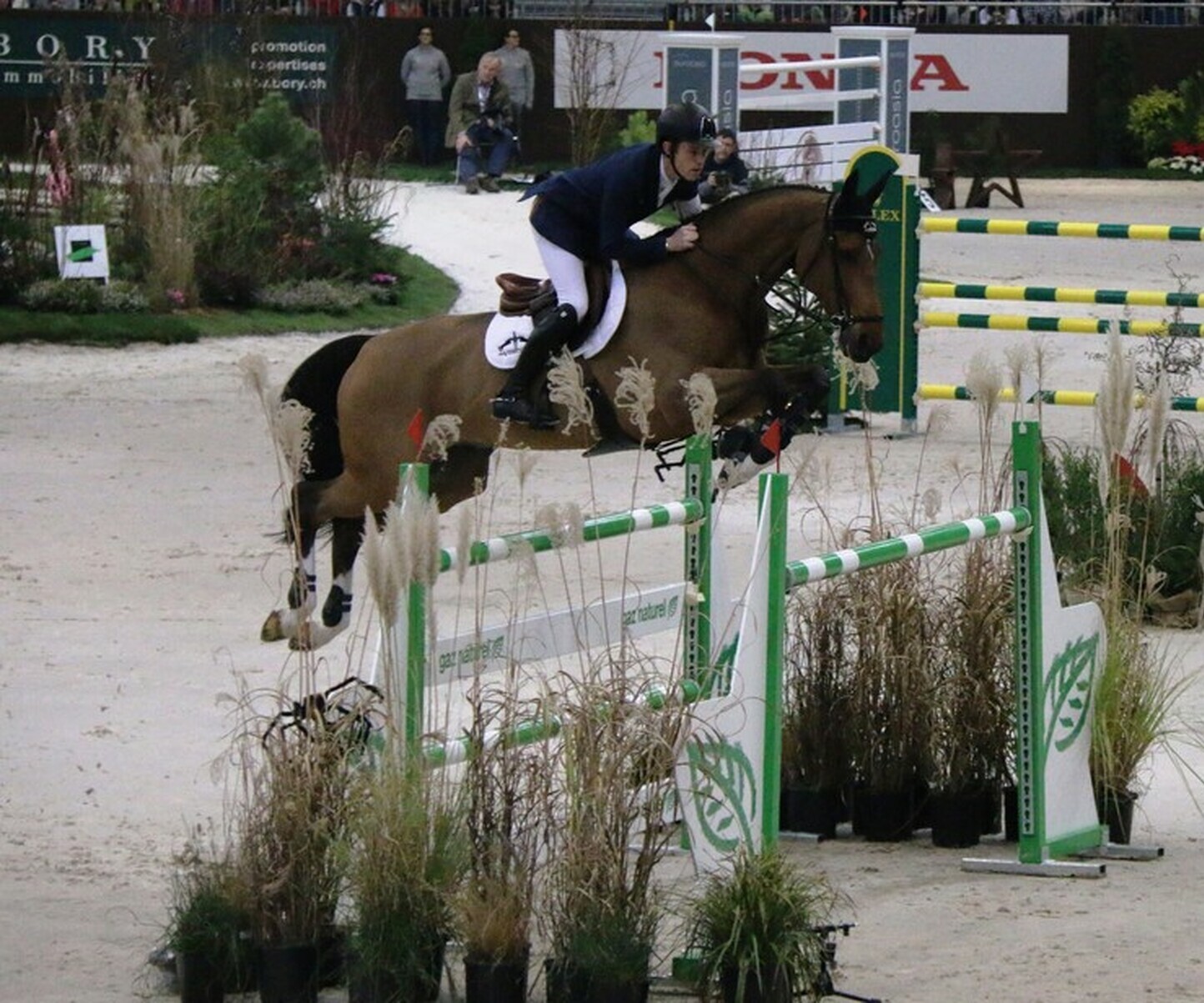 Description de l'image