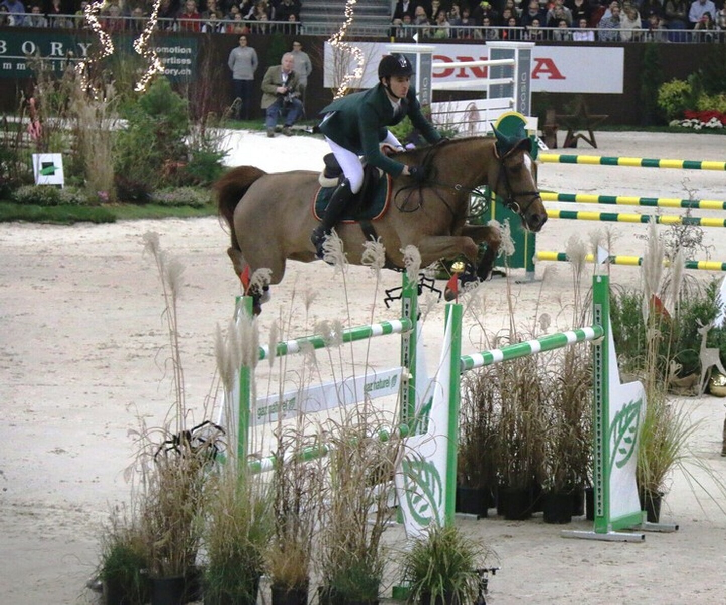 Description de l'image