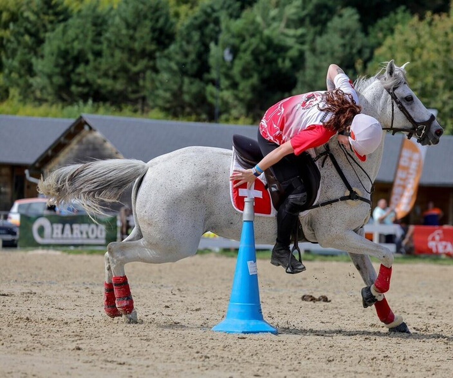Championnats du monde de Pony Games