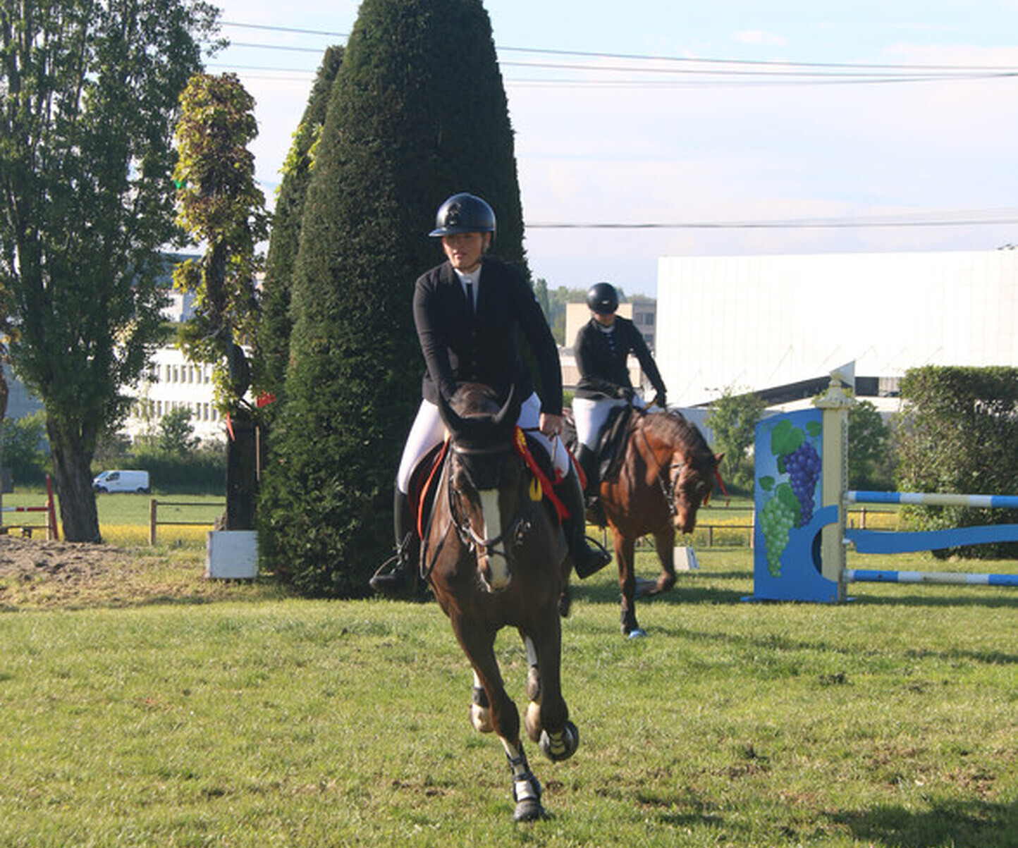 Description de l'image