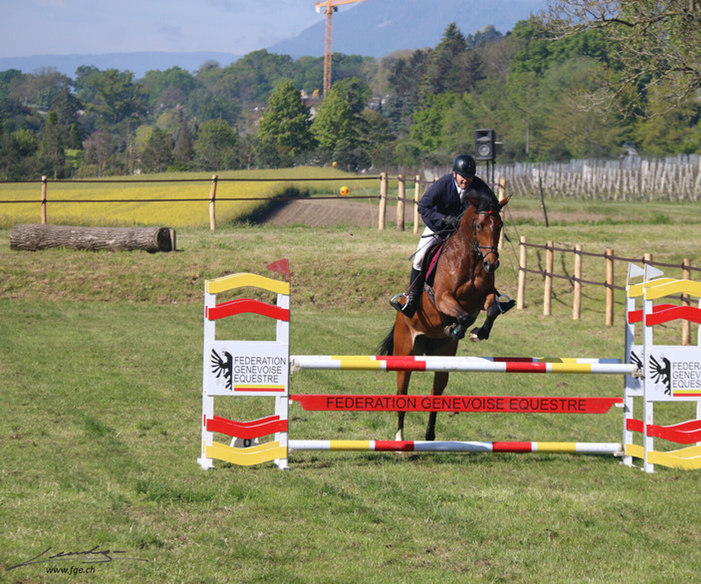 Description de l'image