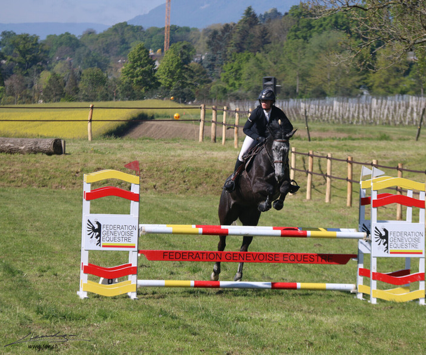 Description de l'image